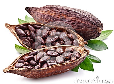 Cocoa pod Stock Photo