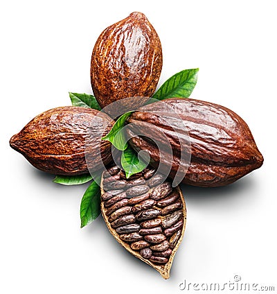 Cocoa pods and cocoa beans -chocolate basis on a white background. Clipping path Stock Photo