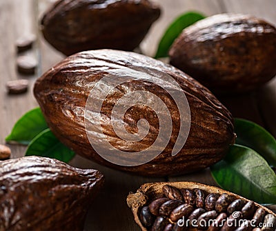 Cocoa pods and cocoa beans on the wooden table Stock Photo