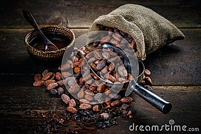 Cocoa powder Stock Photo