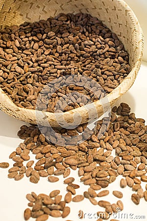 Cocoa seeds Stock Photo