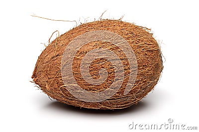 Coconut Stock Photo