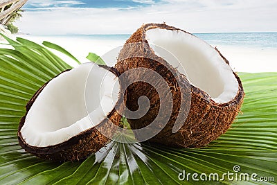 Coconut Stock Photo