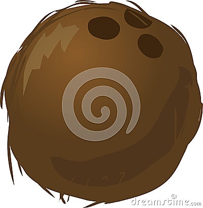 Coconut Vector Illustration