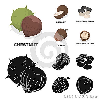 Coconut, acorn, sunflower seeds, manchueian walnut.Different kinds of nuts set collection icons in cartoon,black style Vector Illustration