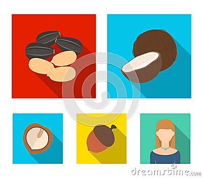 Coconut, acorn, sunflower seeds, manchueian walnut.Different kinds of nuts set collection icons in flat style vector Vector Illustration