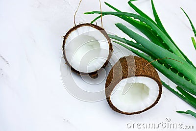 Coconut and aloe vera green leaves onmarble table, natural cosmetics ingredients Stock Photo