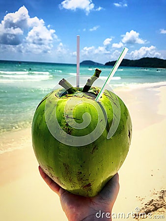 Coconut on the beach. Stock Photo