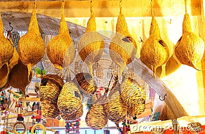 Coconut birds houses hanging in large numbers Stock Photo