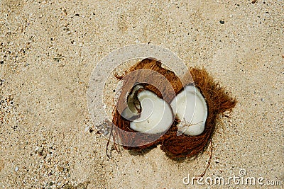 Coconut, broken open on sand. Stock Photo