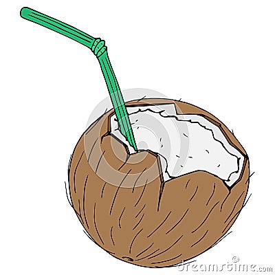 Coconut with a cocktail straw icon. Vector illustration of a broken coconut with a decorative umbrella for cocktails. Cartoon Illustration