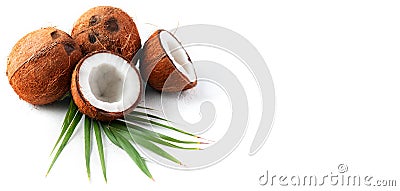 Coconut with coconuts palm tree leaf isolated on a white background. Fresh coco nut Stock Photo