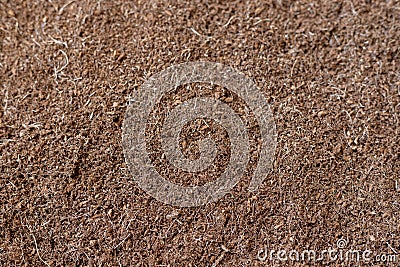 Coconut cocopeat husk chips surface background Stock Photo