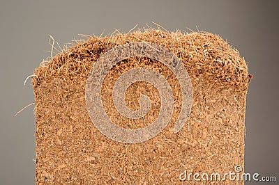 Coconut Coir Close-Up Stock Photo