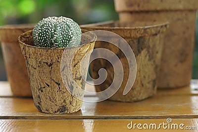 Coconut Coir Pot made from coconut fiber natural material Stock Photo