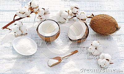 Coconut and cotton flowers Stock Photo