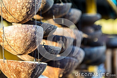 Coconut Display Decor Stock Photo