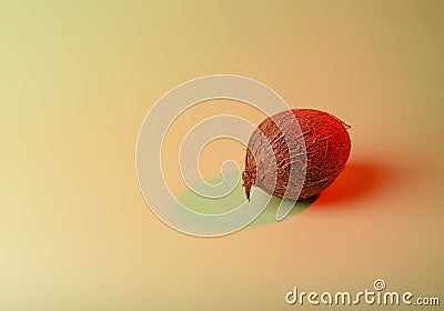 Coconut with double colorful shadows Stock Photo