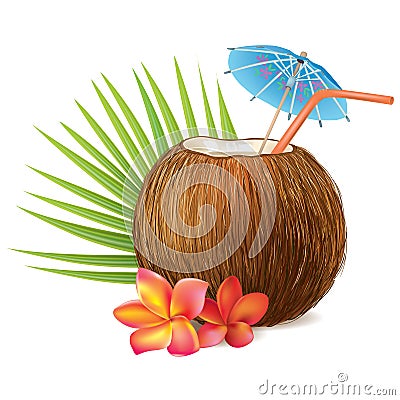 Coconut drink Vector Illustration