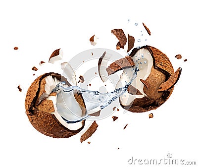 Coconut explodes into pieces on white background Stock Photo