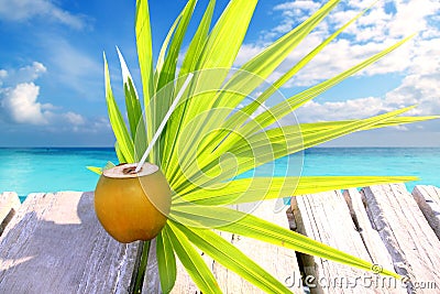 Coconut fresh in caribbean sea pier chit palm leaf Stock Photo