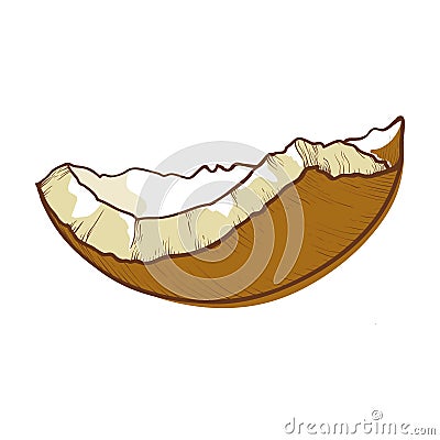 Coconut half shell icon, cracked brown coco nut Vector Illustration