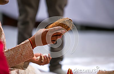 Coconut in the hand of priest during a ritual at a hindu wedding in India Stock Photo