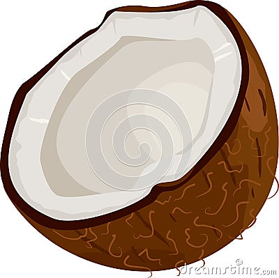 Coconut icon Vector Illustration