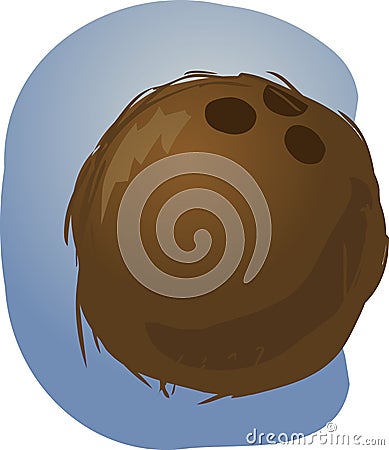 Coconut illustration Vector Illustration