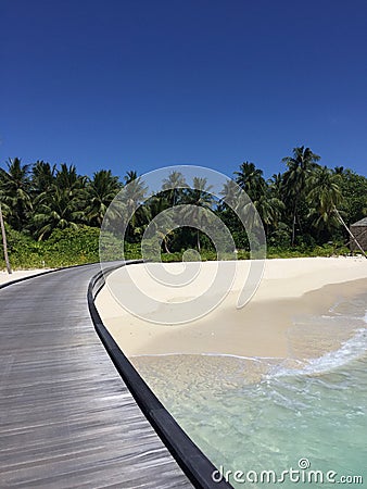 Coconut Island Maldives Stock Photo