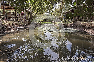 Coconut Island Mekong Delta Editorial Stock Photo