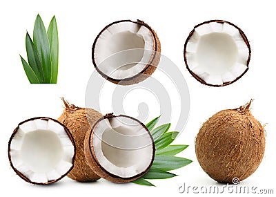 Coconut isolated Stock Photo