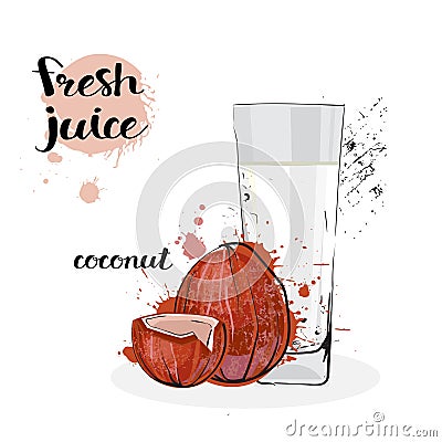 Coconut Juice Fresh Hand Drawn Watercolor Fruits And Glass On White Background Vector Illustration