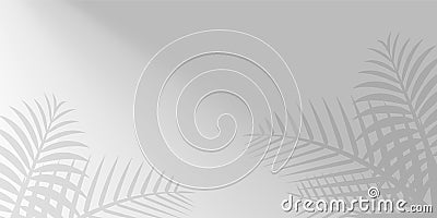 Coconut leaf grey and sunshine for background, shadow tree palm leaves on wall, floral leaves shadow gray with sunbeam, Vector Illustration