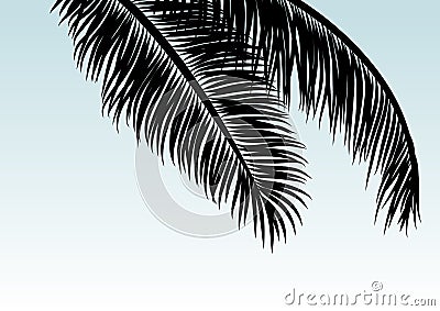 Coconut leaves with copy space tropical summer background Vector Illustration