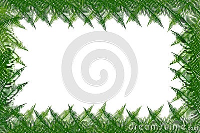 Coconut leaves summer holiday frame Vector Illustration