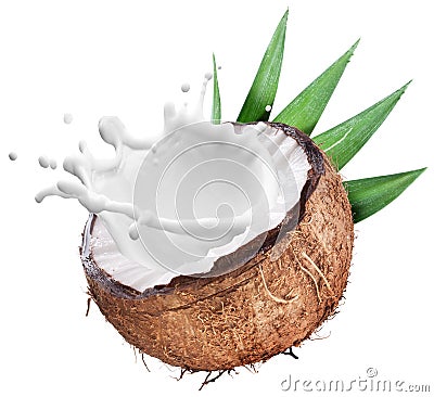 Coconut with milk splash inside. Stock Photo