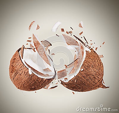 Coconut