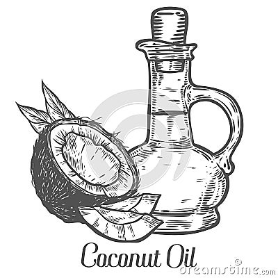 Coconut nut oil bottle, leaf, plant. Hand drawn engraved vector sketch etch illustration. Vector Illustration