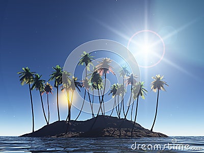 Coconut palm Stock Photo