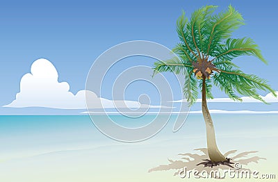 Coconut palm Vector Illustration