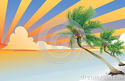 Coconut palm Vector Illustration