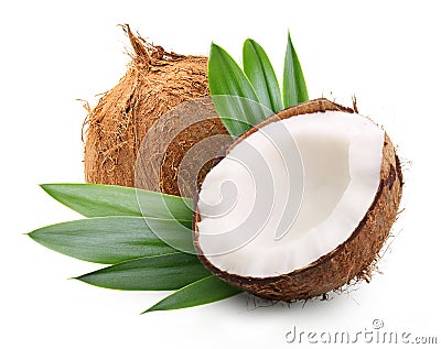 Coconut with palm leaves Stock Photo