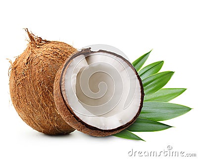 Coconut with palm leaves Stock Photo