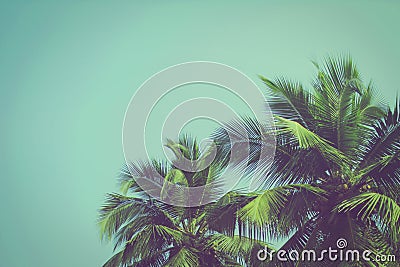 Coconut palm trees at tropical beach vintage filter Stock Photo