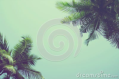 Coconut palm trees at tropical beach vintage filter Stock Photo