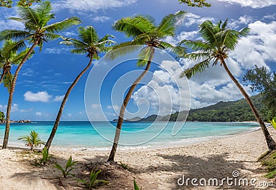 Coconut palm trees on tropical paradise Sunny beach Stock Photo
