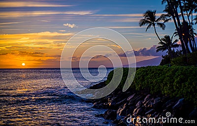 Coconut palms, lava shoreline, maui sunset Stock Photo