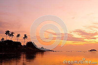 Coconut palms on sand beach in tropic on sunset Stock Photo