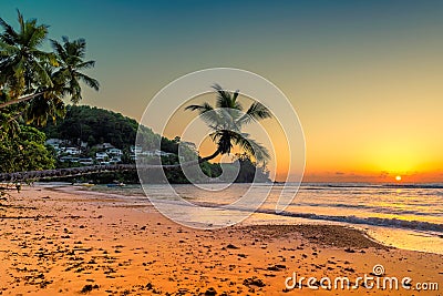 Coconut palms at sunset over tropical beach Stock Photo